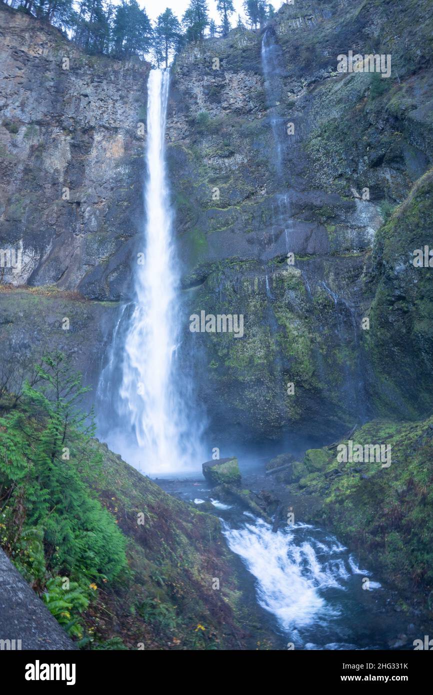 Multnomah Falls est une cascade située sur le ruisseau Multnomah dans la gorge de la rivière Columbia, à l'est de Troutdale, entre Corbett et Dodson, Oregon, États-Unis Banque D'Images
