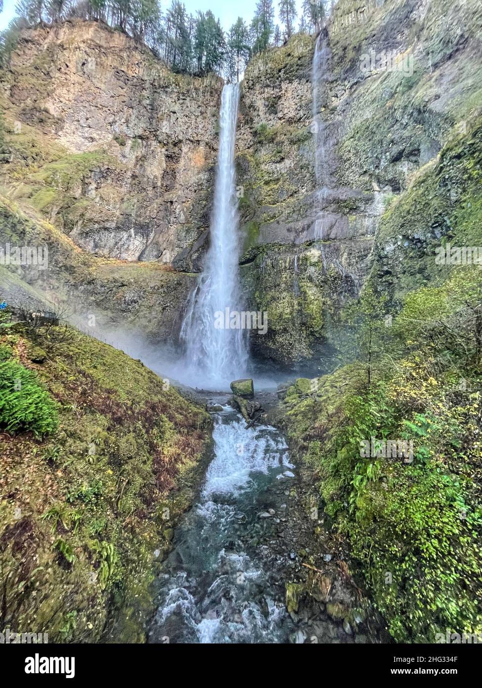 Multnomah Falls est une cascade située sur le ruisseau Multnomah dans la gorge de la rivière Columbia, à l'est de Troutdale, entre Corbett et Dodson, Oregon, États-Unis Banque D'Images