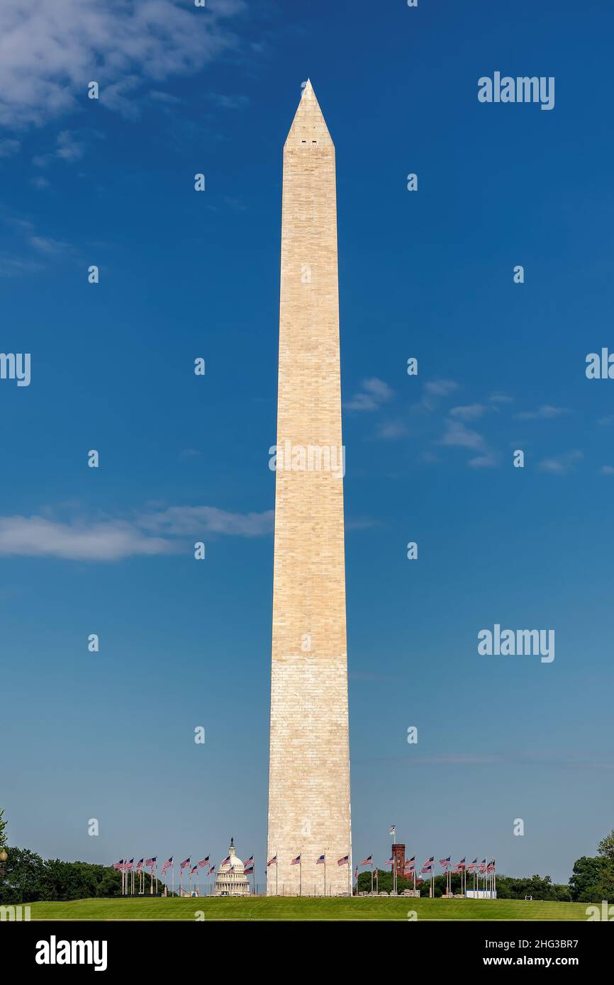 Washington Monument dans un ciel bleu clair, Washington DC, États-Unis Banque D'Images