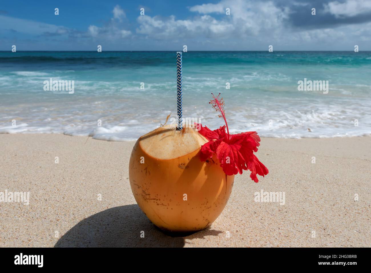 Noix de coco fraîche sur la plage de sable et la mer Banque D'Images