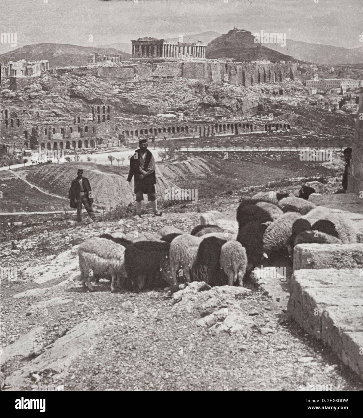 Photo d'époque de l'Acropole et du Lykabettos (palais royal à droite), Athènes, Grèce.1907 la photographie montre un troupeau de moutons paître et deux hommes standin Banque D'Images