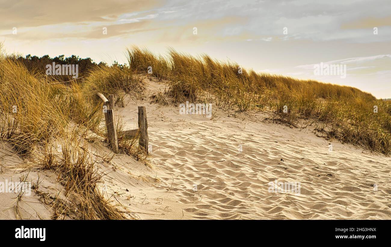 Sur la plage de la mer Baltique une plage traversant les dunes.Marche sur la plage sur le Darß à Zingst Banque D'Images
