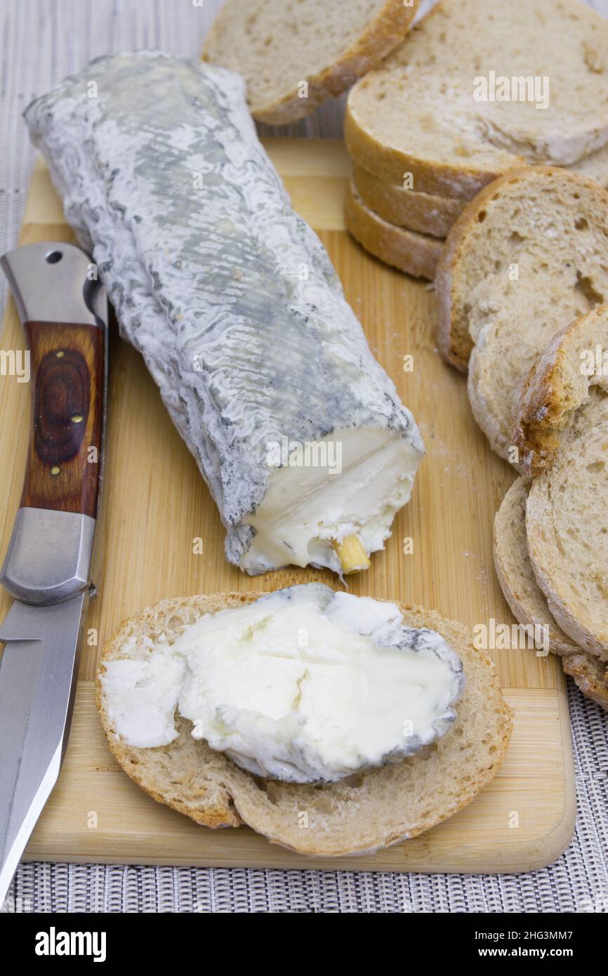cendre une bûche de fromage de chèvre avec du pain sur une planche en bois Banque D'Images