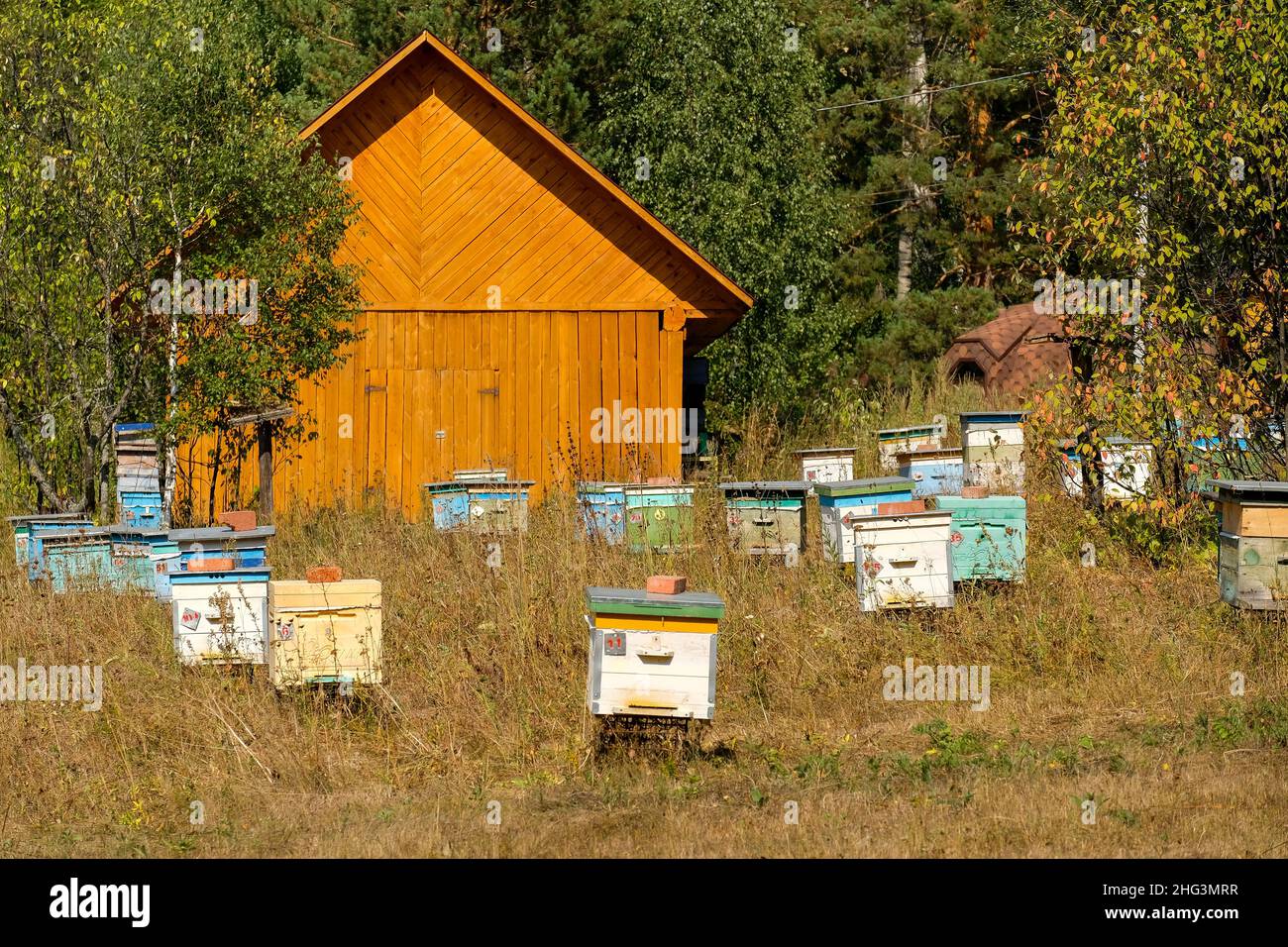 Petit apiculteur.Ruches colorées.Jour d'été. Banque D'Images
