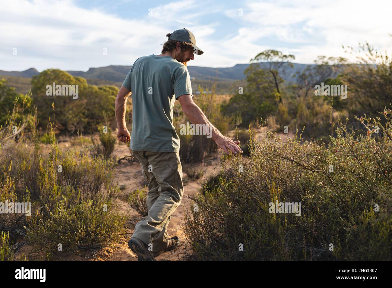 Vue arrière sur toute la longueur du jeune homme caucasien touchant des plantes non cultivées dans la forêt Banque D'Images