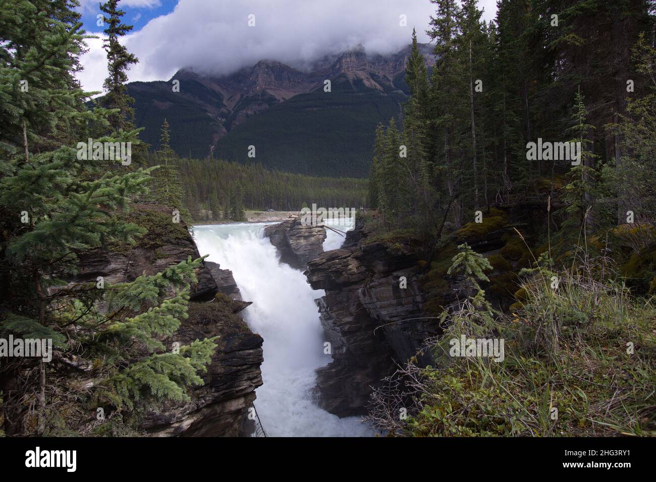 Chutes Athabasca dans le parc national Jasper, Alberta, Canada, Amérique du Nord Banque D'Images