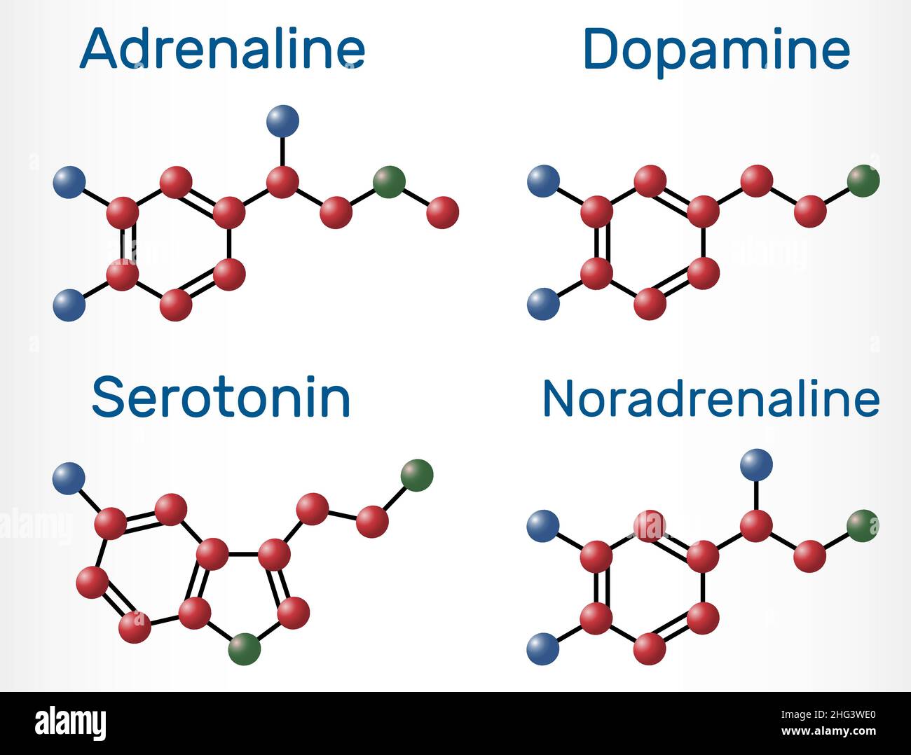Adrénaline (épinéphrine), dopamine ( DA), sérotonine, molécules de norépinéphrine (noradrénaline).Neurotransmetteurs monoamine, neuromodulateurs, médicatio Illustration de Vecteur
