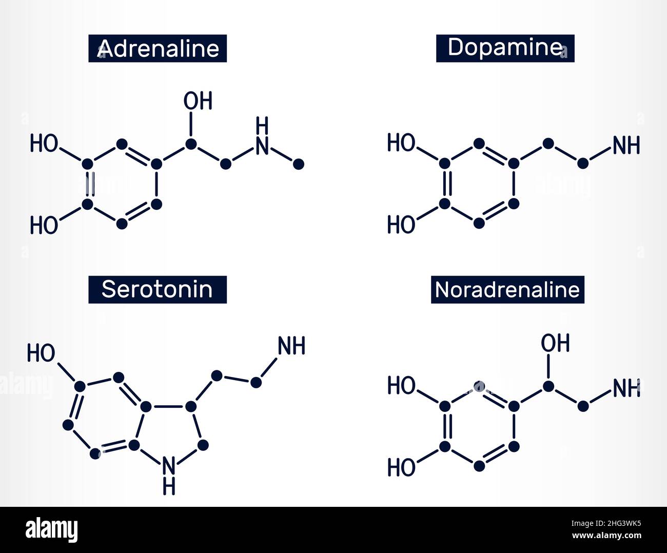 Adrénaline (épinéphrine), dopamine ( DA), sérotonine, molécules de norépinéphrine (noradrénaline).Neurotransmetteurs monoamine, neuromodulateurs, médicatio Illustration de Vecteur