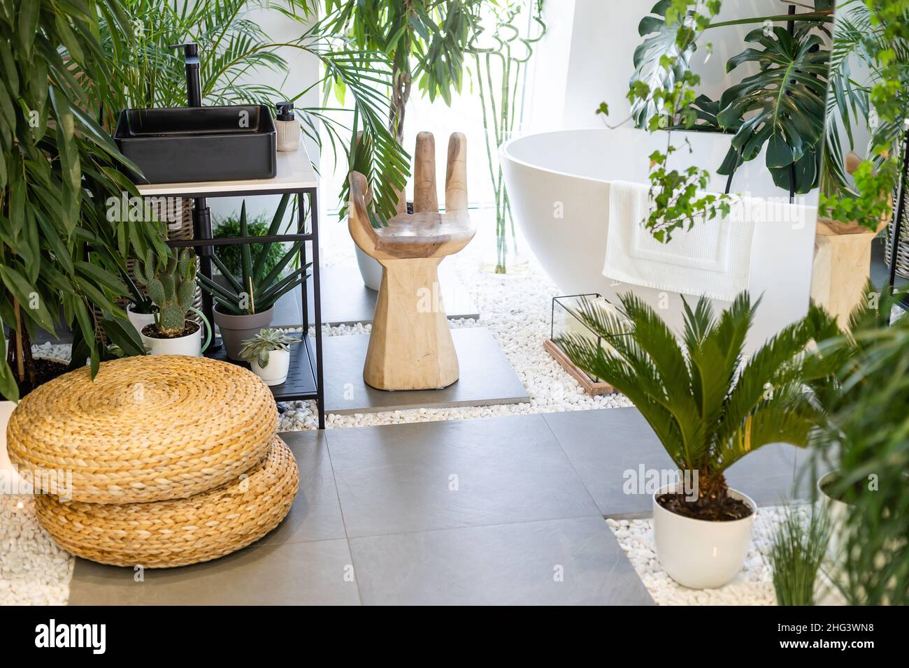 Un fragment de l'intérieur avec des plantes d'intérieur en pot et des palmiers.Jardinage à la maison.Les plantes de maison et la jungle urbaine concept. Banque D'Images