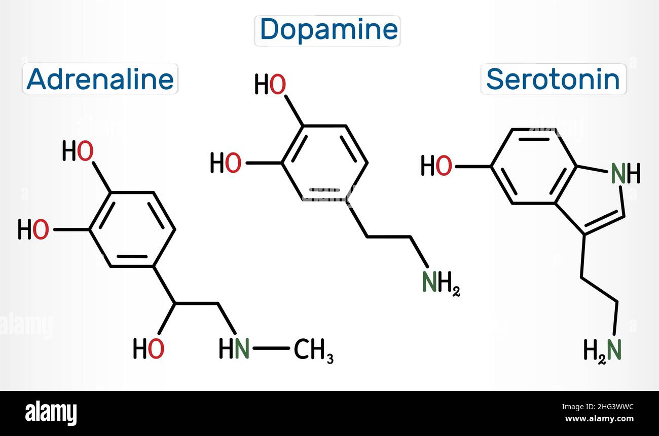 Adrénaline (épinéphrine), dopamine ( DA), molécules de sérotonine.Neurotransmetteurs monoamine, neuromodulateurs, médicaments.Formule chimique structurelle. Illustration de Vecteur