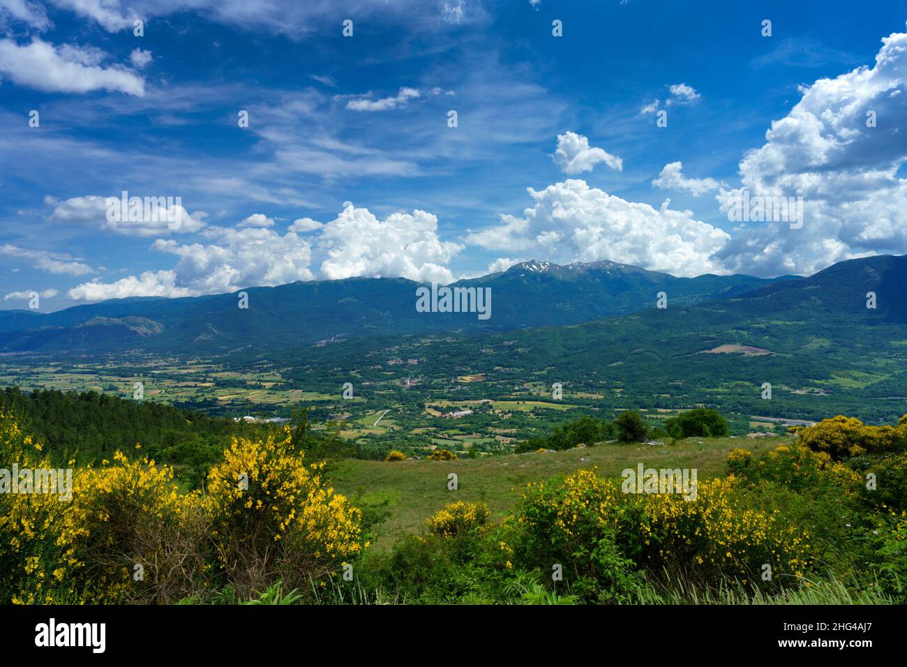 Paysage à Molise près de Macchiagodena et de Sant Angelo à Grotte, province d'Isernia, au mois de juin Banque D'Images