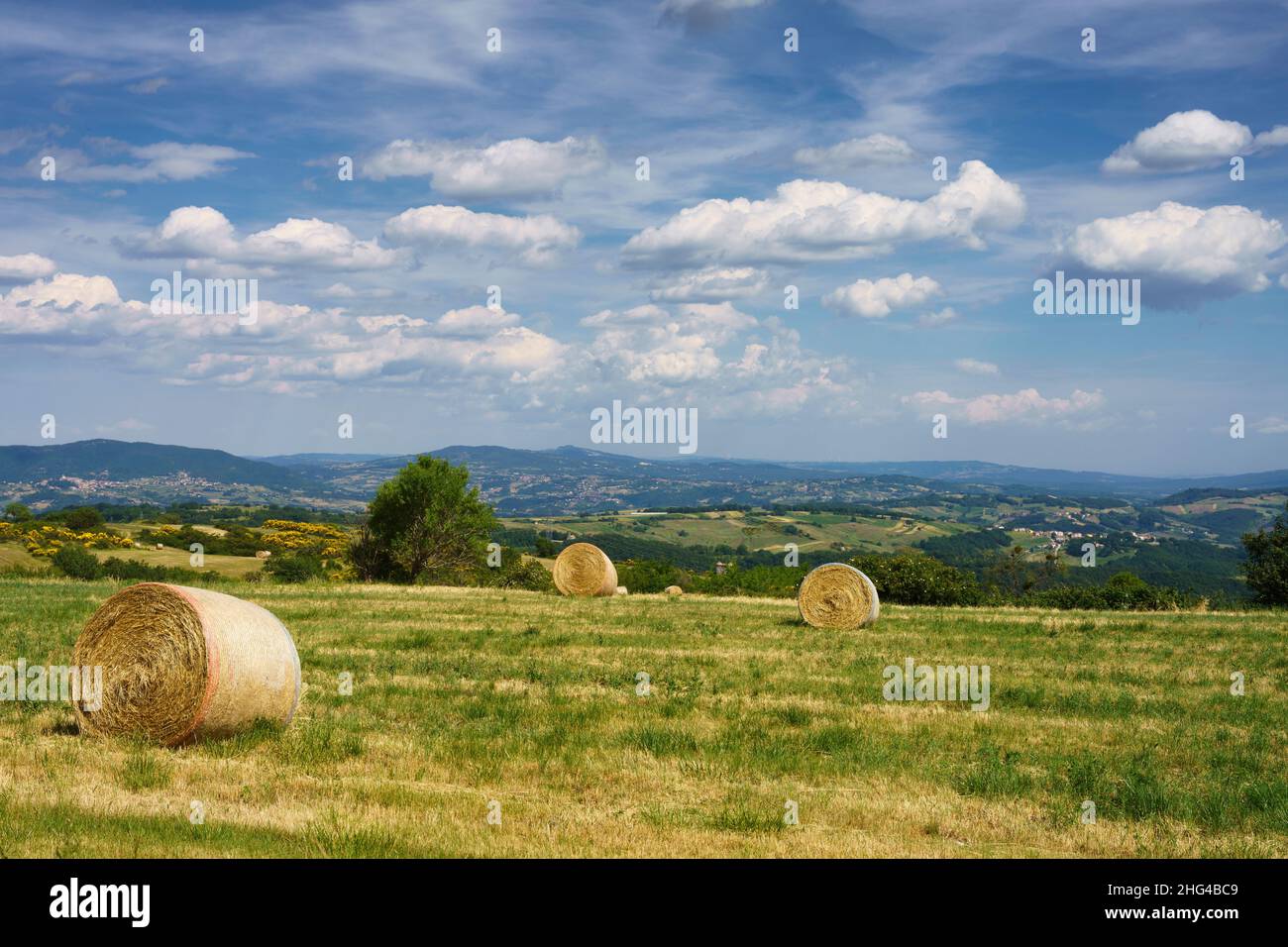 Paysage à Molise près de Macchiagodena et Frosolone, province d'Isernia, en juin Banque D'Images