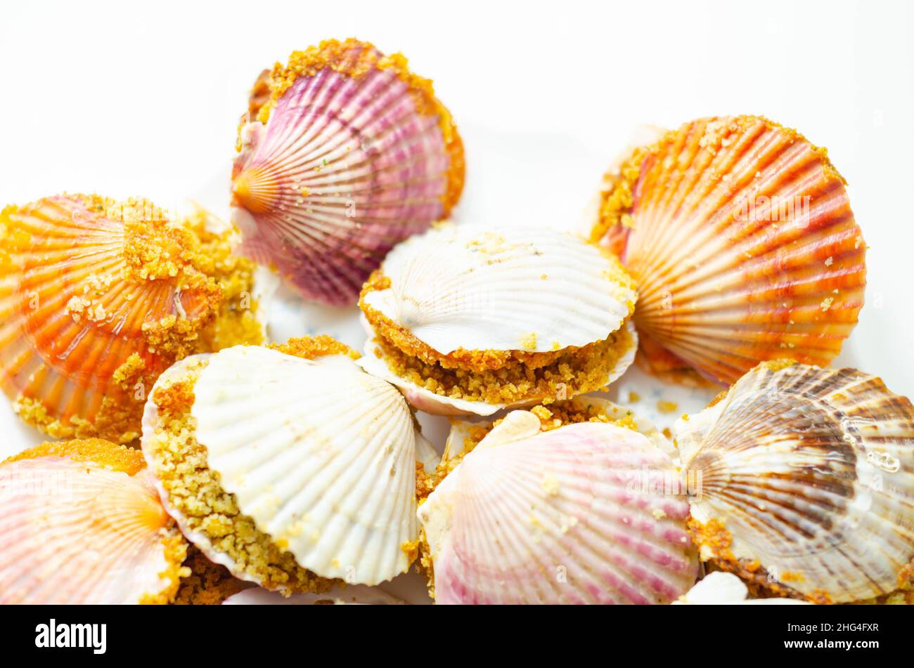 Mini coquilles SaintJacques, coquilles de pétoncles naturelles remplies de pétoncles de