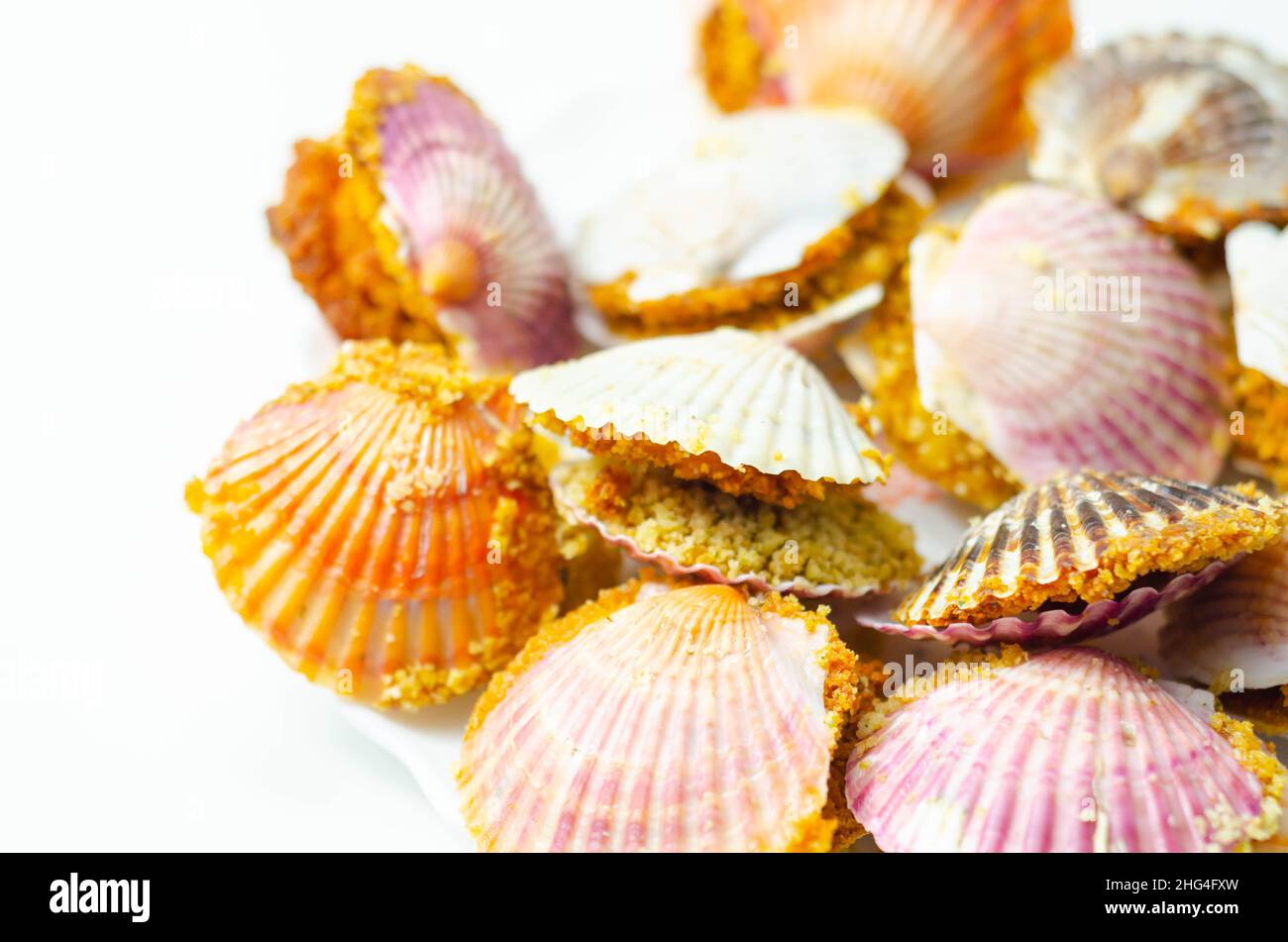 Mini coquilles SaintJacques, coquilles de pétoncles naturelles remplies de pétoncles de