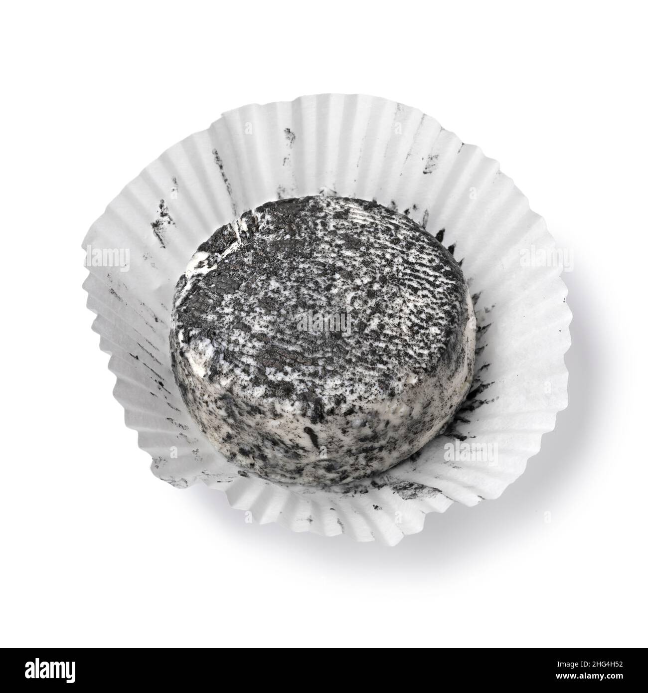 Un seul morceau de fromage de chèvre recouvert de frêne dans une tasse en papier, isolé sur fond blanc Banque D'Images