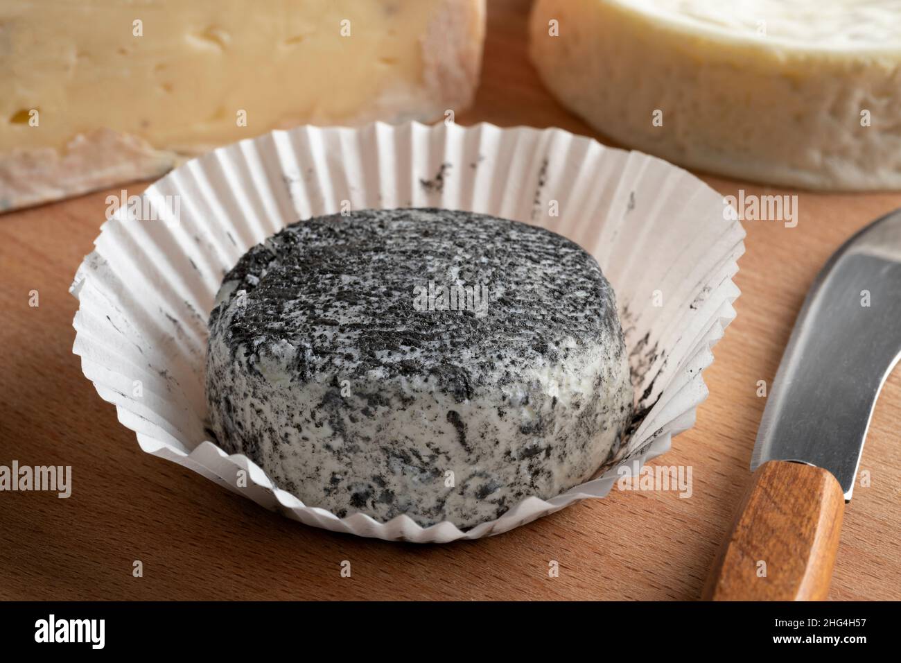 Un seul morceau de fromage de chèvre recouvert de frêne dans une tasse en papier gros plan Banque D'Images