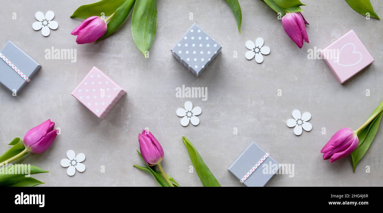 Bannière panoramique.Plateau de printemps avec boîtes cadeaux, tulipes magenta et fleurs blanches de style déco.Vacances de printemps avec fleurs naturelles. Banque D'Images