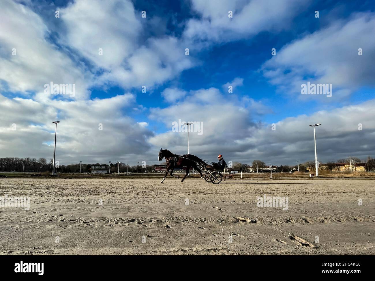 site de rencontres cheval