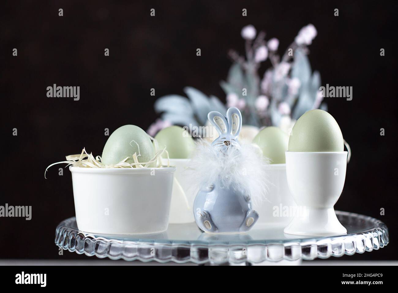 Arrière-plan de Pâques.Œufs de pâques heureux sur le nid.Œufs de Pâques.Bonne carte de Pâques.Pâques.Bannière.Copier l'espace Banque D'Images