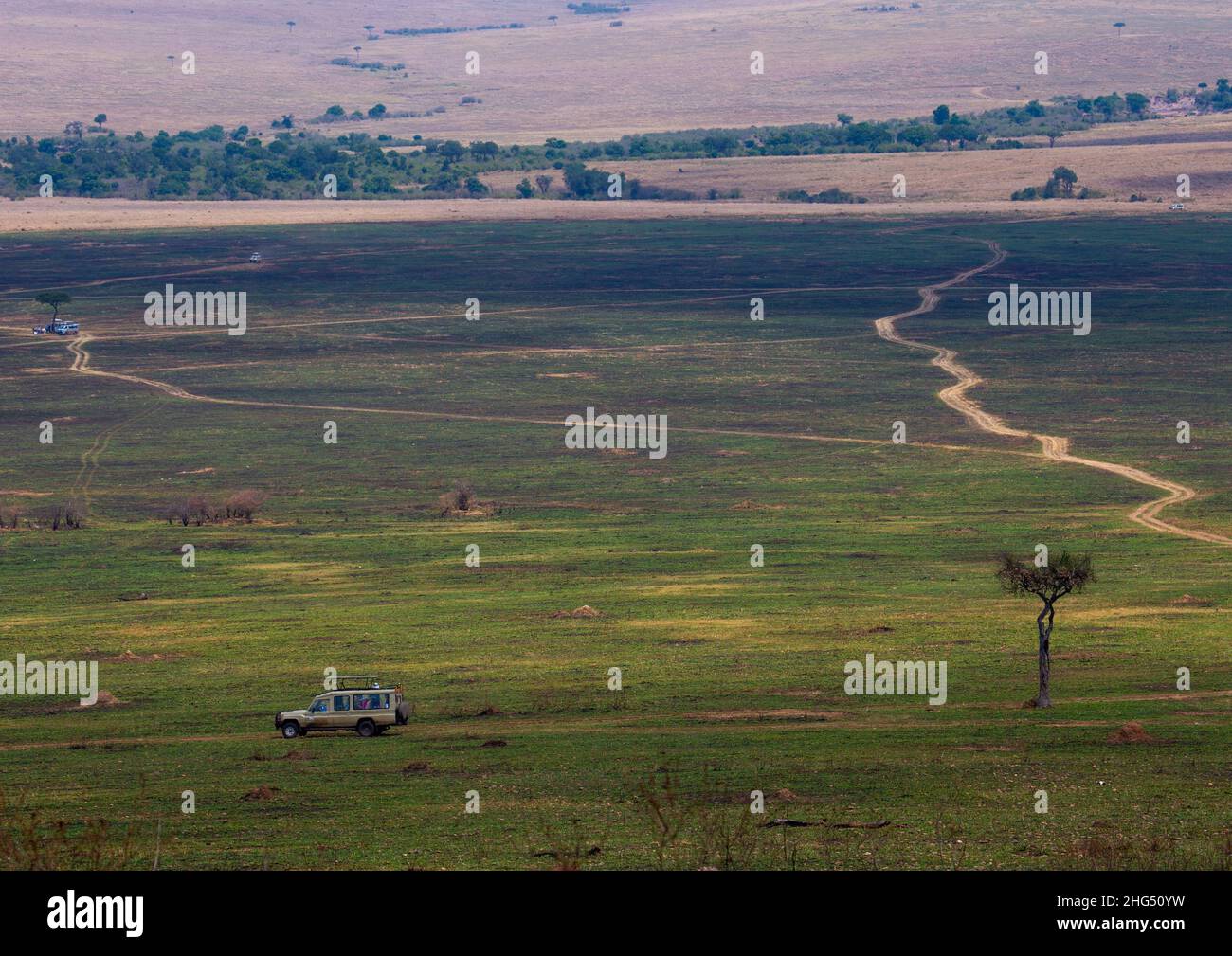 Quatre roues dans le parc, province de Rift Valley, Maasai Mara, Kenya Banque D'Images