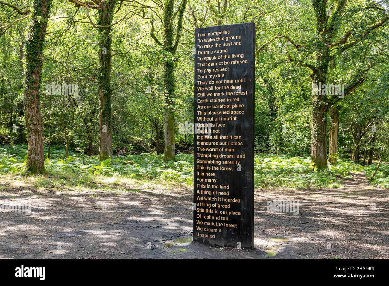 'Soil Unsalit' collaboration poétique entre Zakiya McKenzie et Khady Gueye sur la forêt de Dean Sculpture Trail près de Cannop, Coleford, Gloucestersh Banque D'Images