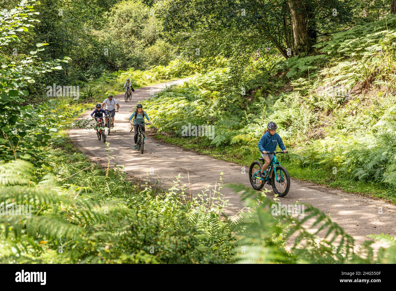 Cyclistes appréciant la Forest of Dean Family cycle Trail près de Cannop, Coleford, Gloucestershire.UK Banque D'Images