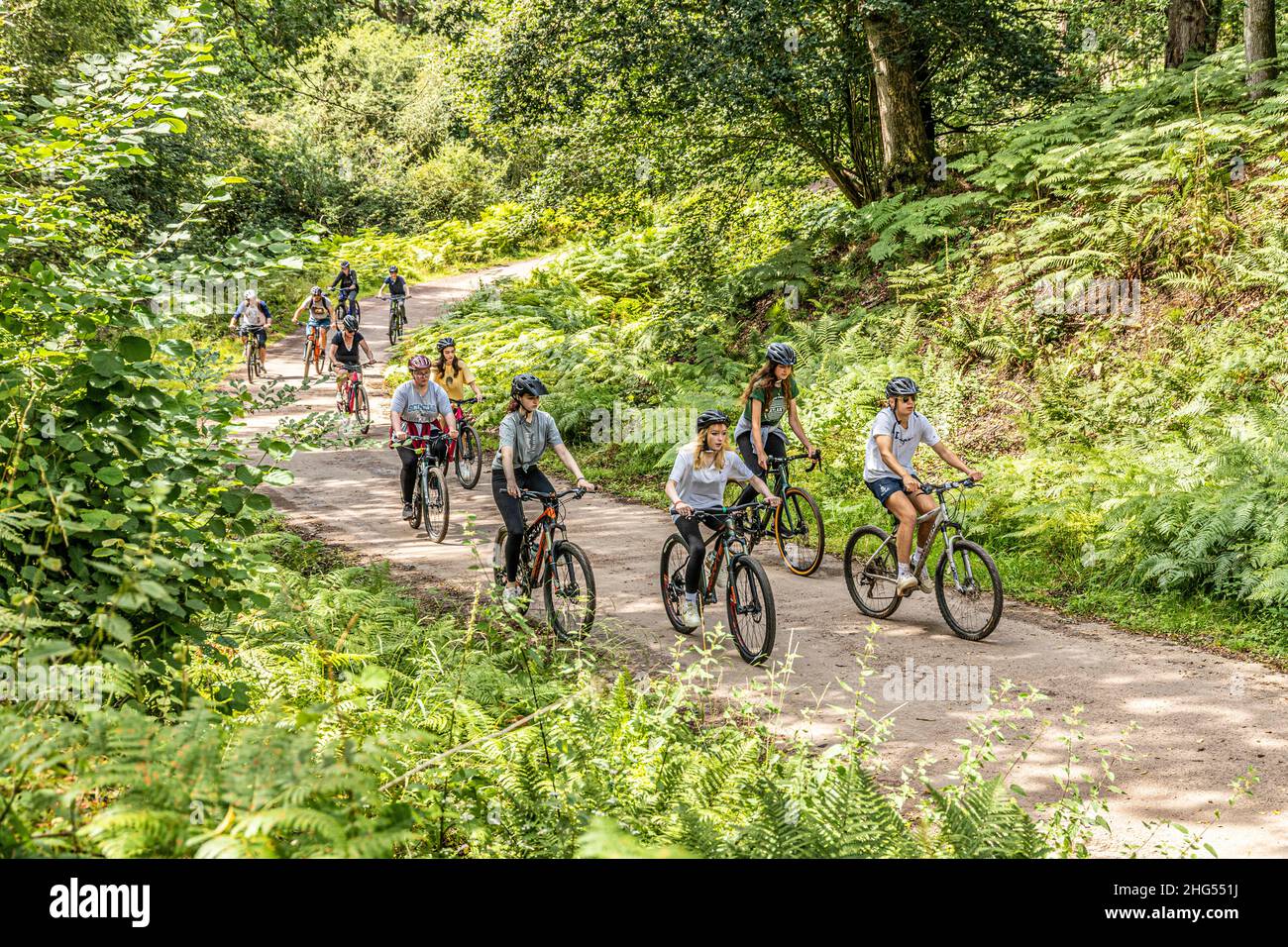 Cyclistes appréciant la Forest of Dean Family cycle Trail près de Cannop, Coleford, Gloucestershire.UK Banque D'Images