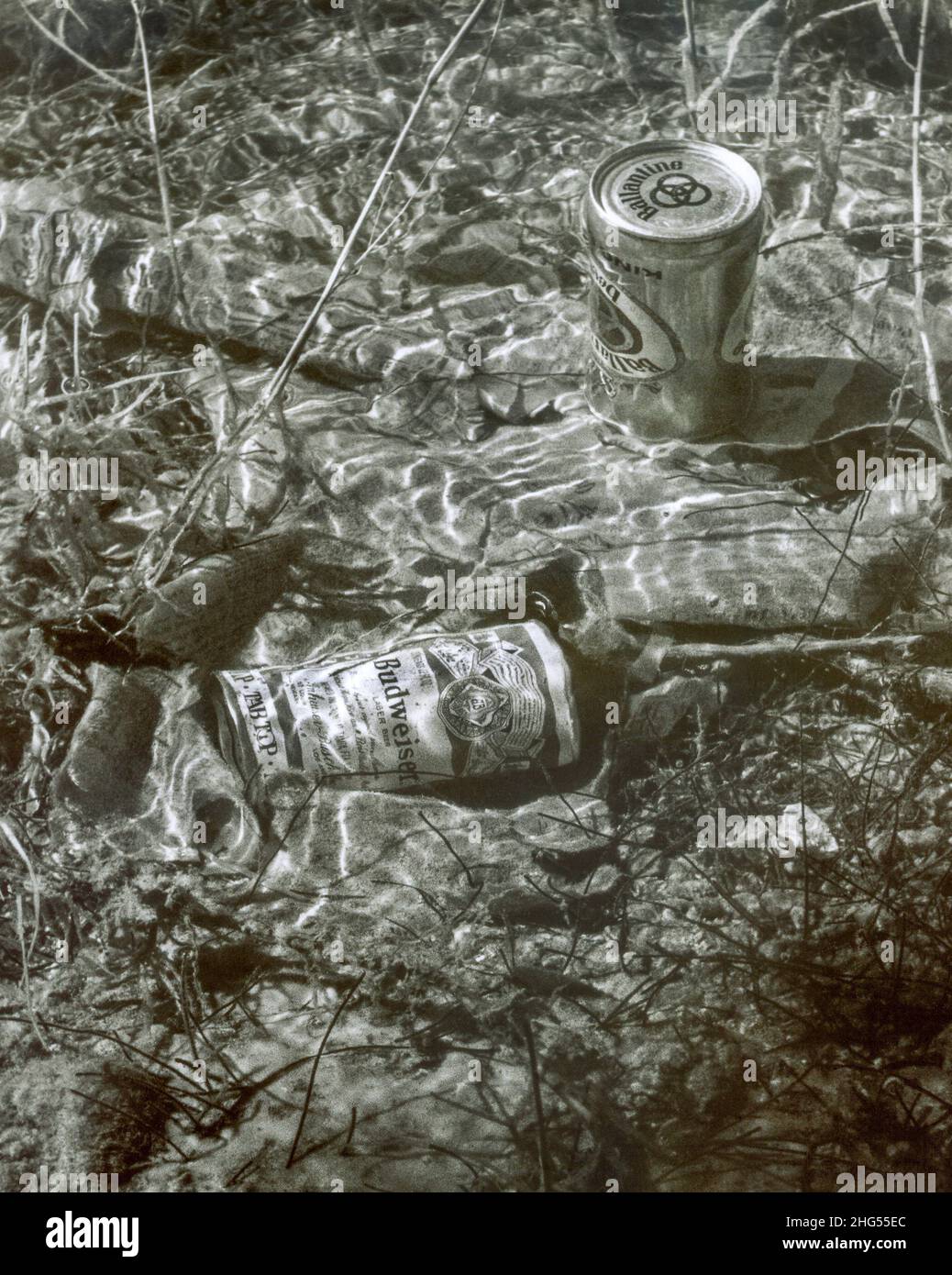 Canettes de bière jetées dans un lac, ca.années 1960. Banque D'Images