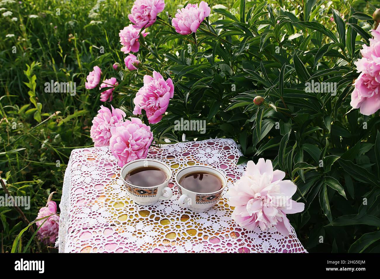 Thé de style campagnard dans le jardin d'été du village.Deux tasses de thé noir sur une nappe de dentelle vintage faite à la main et des fleurs de pivoine en fleur i Banque D'Images