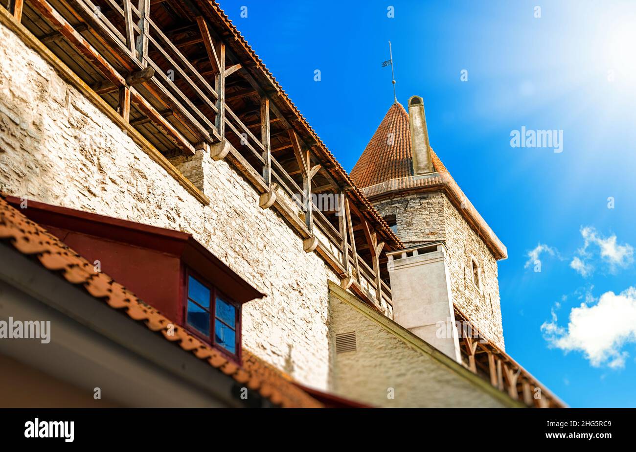 Remparts de la forteresse de la vieille ville de Tallinn en été. Banque D'Images