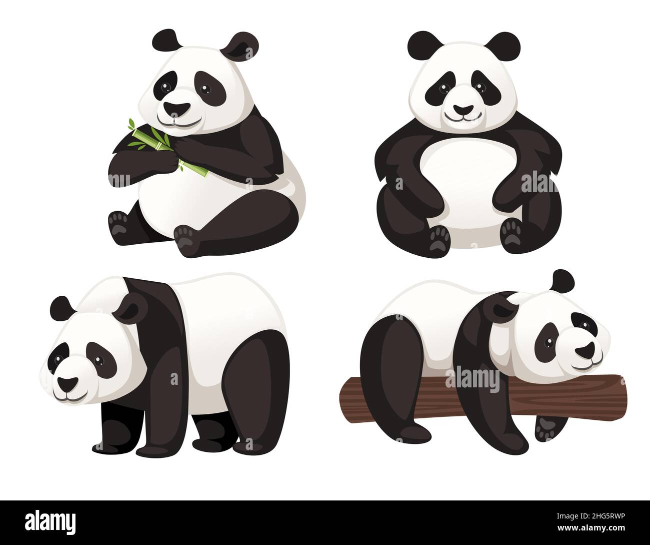 Ensemble de mignon drôle grand panda s'asseoir sur le sol et allongé sur la branche dessin animal dessin animé illustration vectorielle plate Illustration de Vecteur