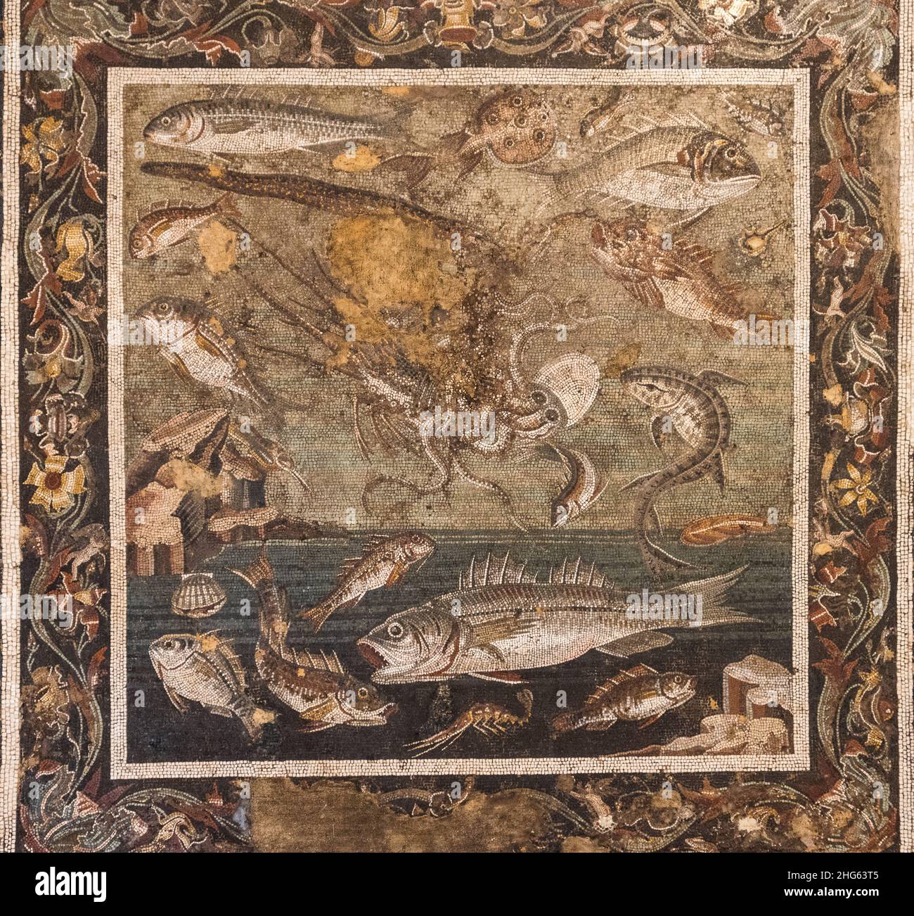 La mosaïque du catalogue des poissons Une grande partie des exemples survivants de mosaïques murales proviennent de sites italiens tels que Pompéi. Banque D'Images