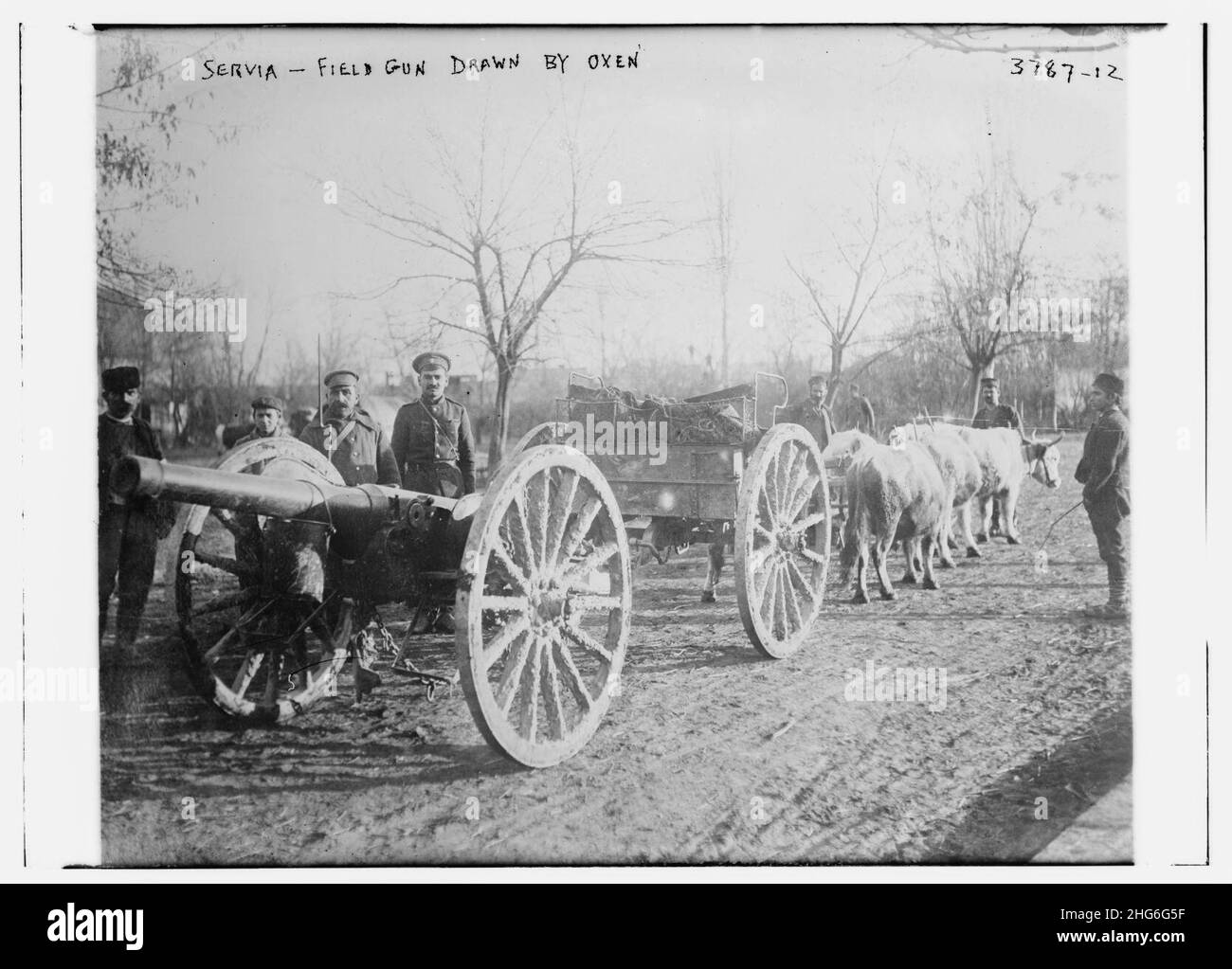 Servia (c'est-à-dire la Serbie) - canon de campagne tiré par oxen Banque D'Images