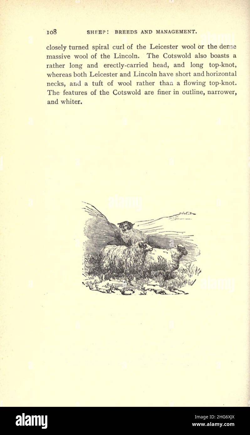 Mouton (page 108) Banque D'Images