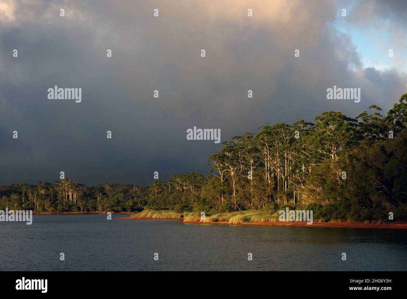 Tempête en début de soirée au-dessus du lac Paluma, parc national de Paluma Range, près de Townsville, Queensland, Australie Banque D'Images