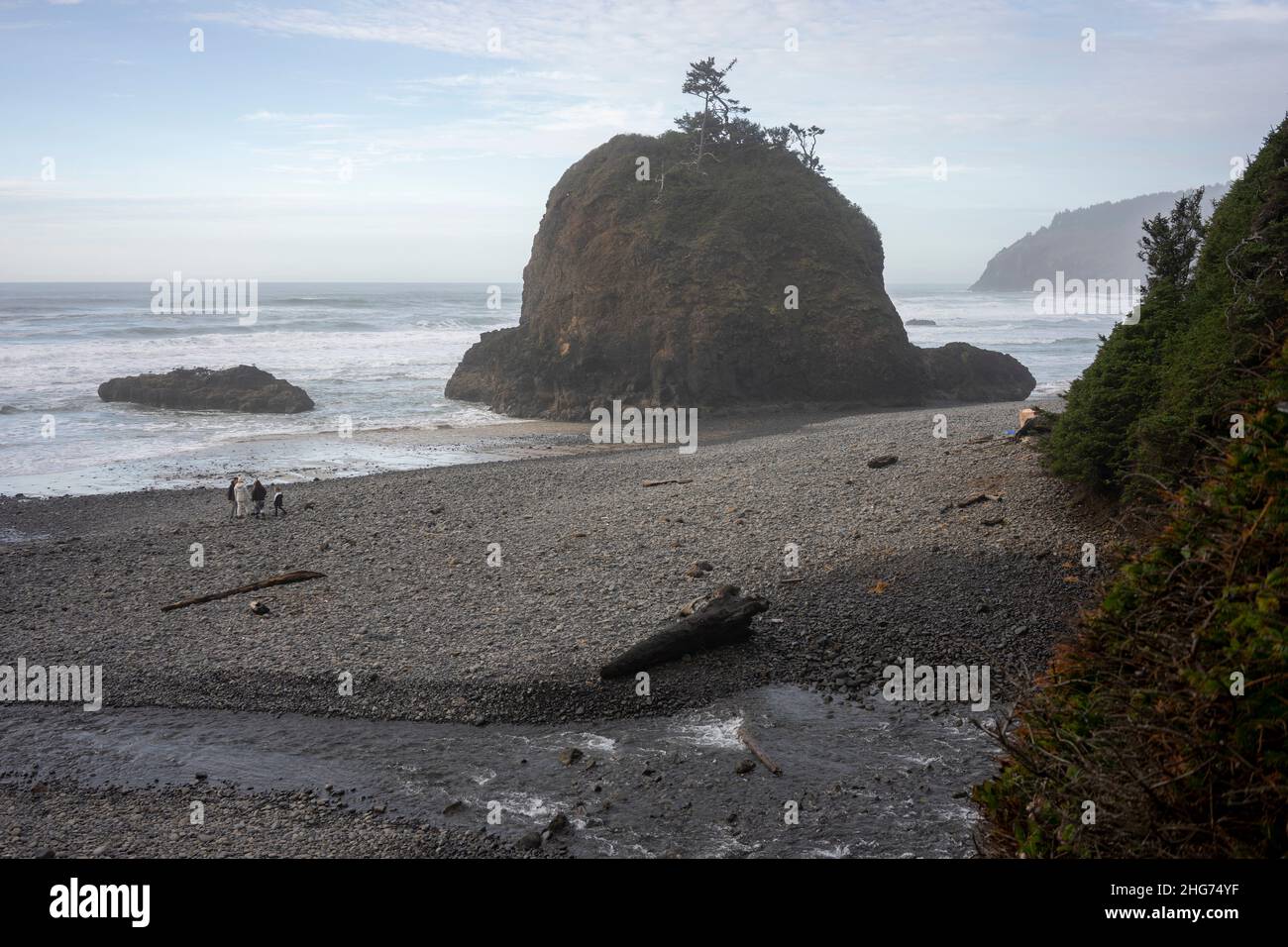 La plage Short Beach sur la côte nord de l'Oregon, avec une pile de mer, des ruisseaux et des cascades. Banque D'Images