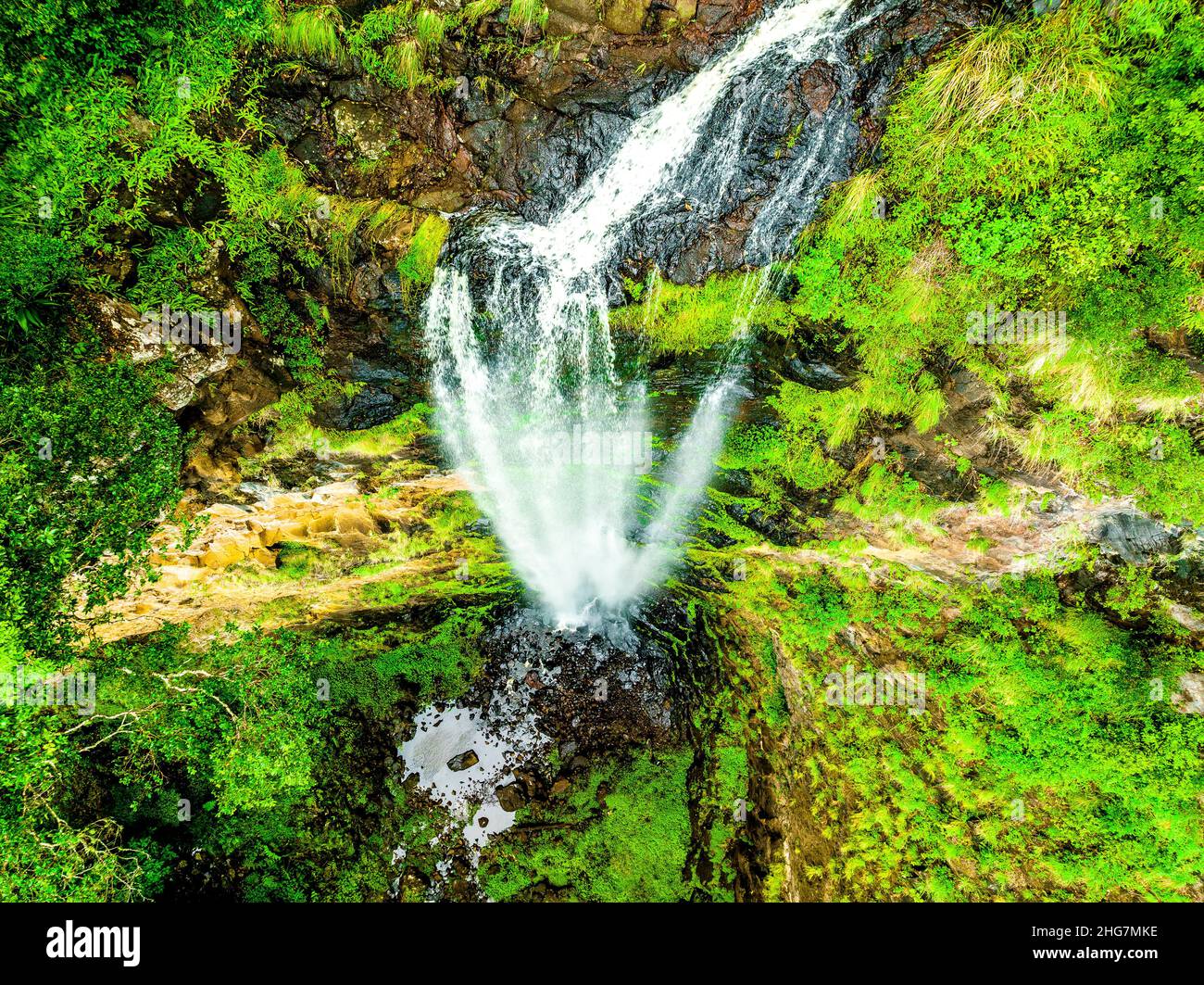 La vue sur la vallée OBI et la végétation luxuriante de la forêt tropicale sont des points forts pour les visiteurs de cette petite mais importante forêt résiduelle. Banque D'Images