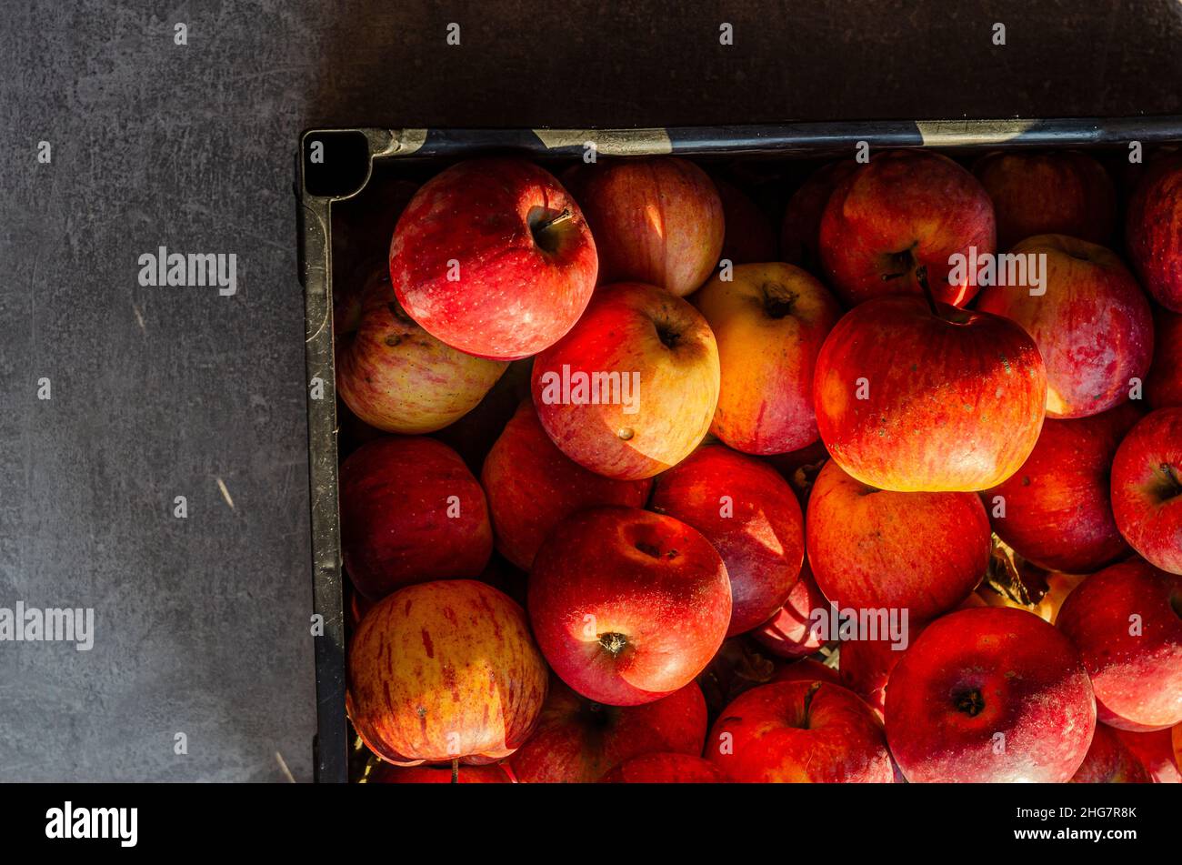 pommes mûres rouges dans une boîte Banque D'Images