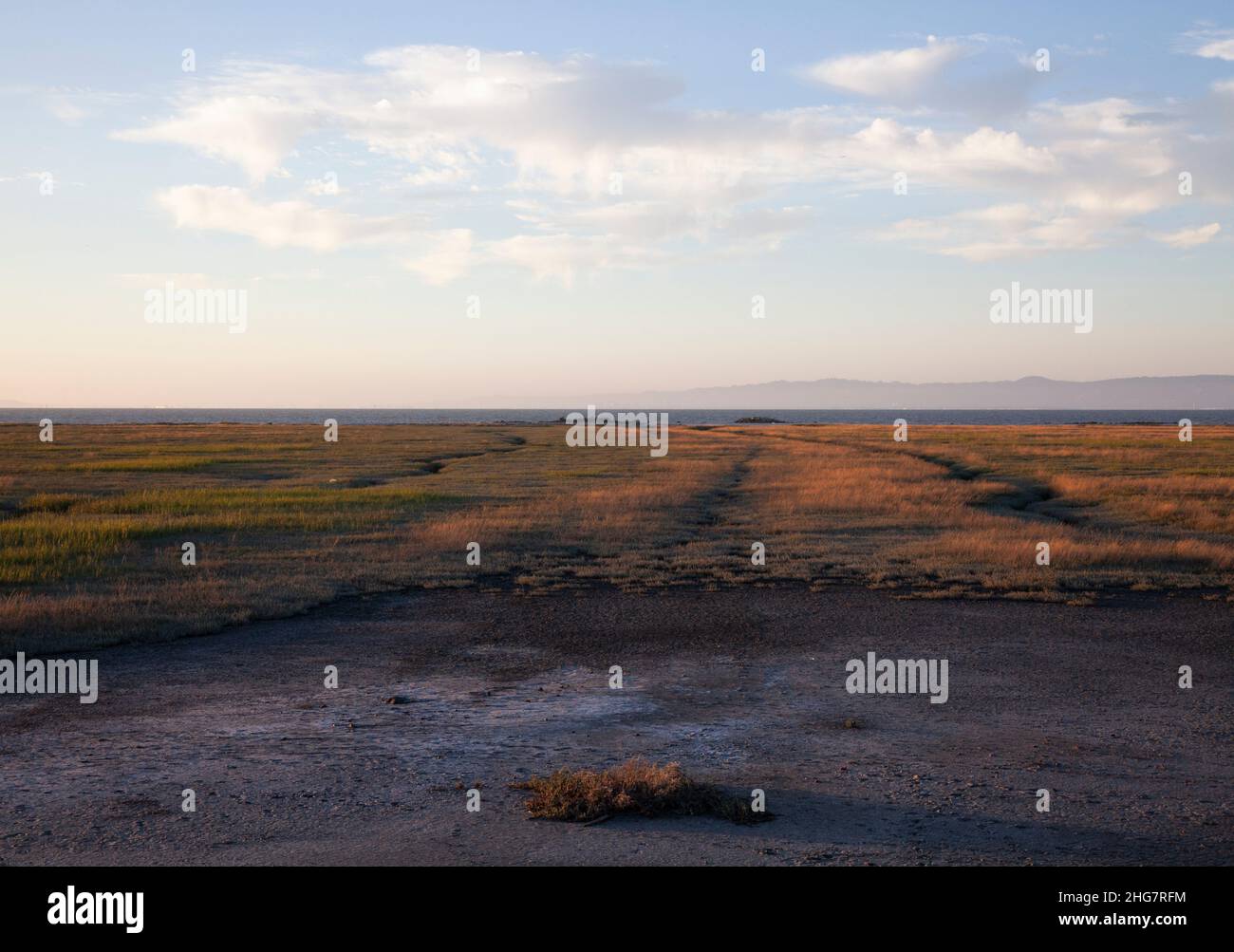 Terres humides avec herbes et chaîne de montagnes éloignée, San Mateo, CA Banque D'Images