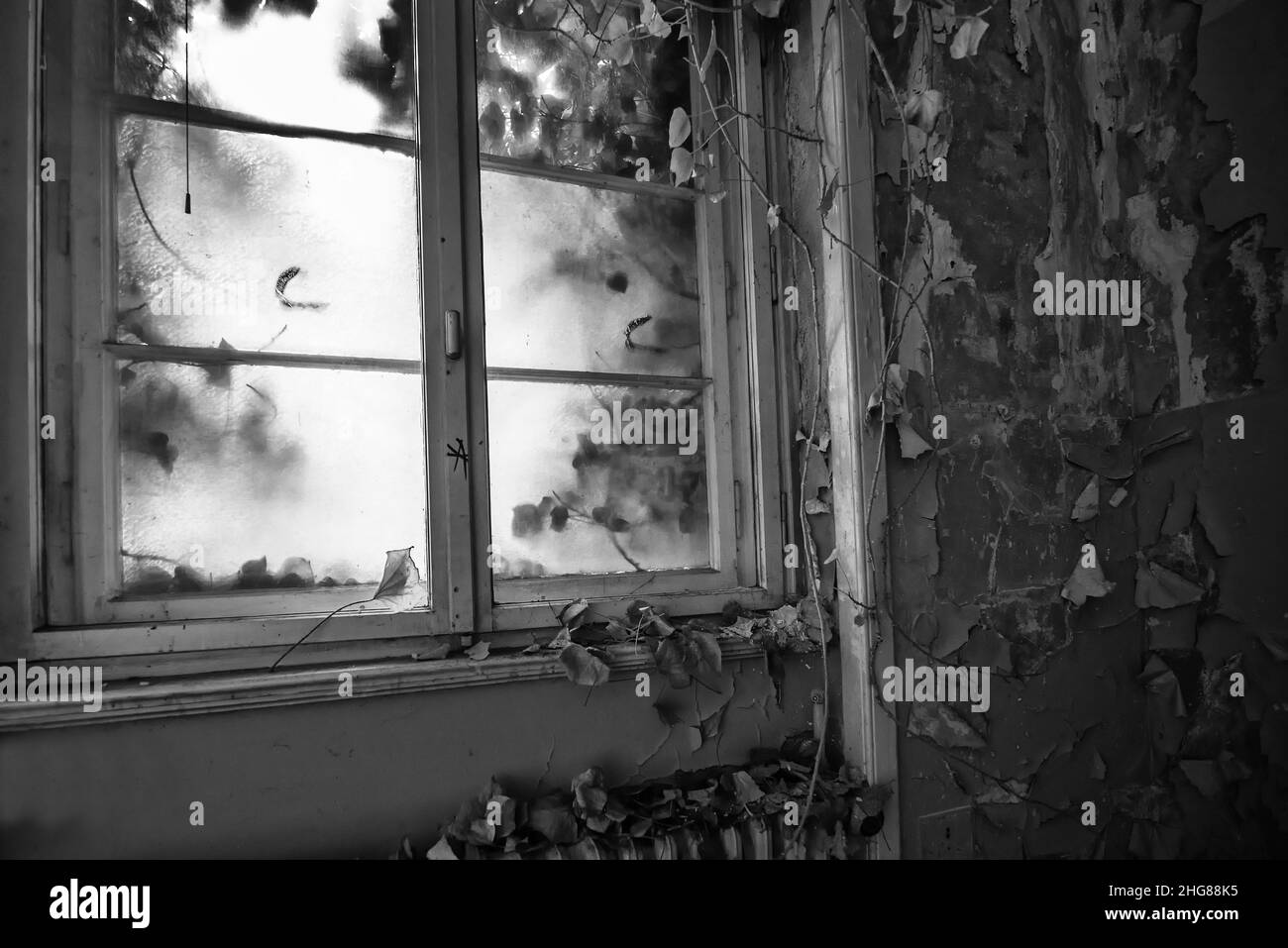 Fenster Zum Banque d'image et photos - Alamy