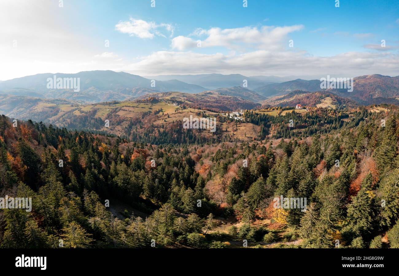 Forêt de plusieurs couleurs d'automne avec des conifères verts et un chemin étroit s'étendant dans les hautes montagnes sous bleu ciel nuageux vue panoramique Banque D'Images