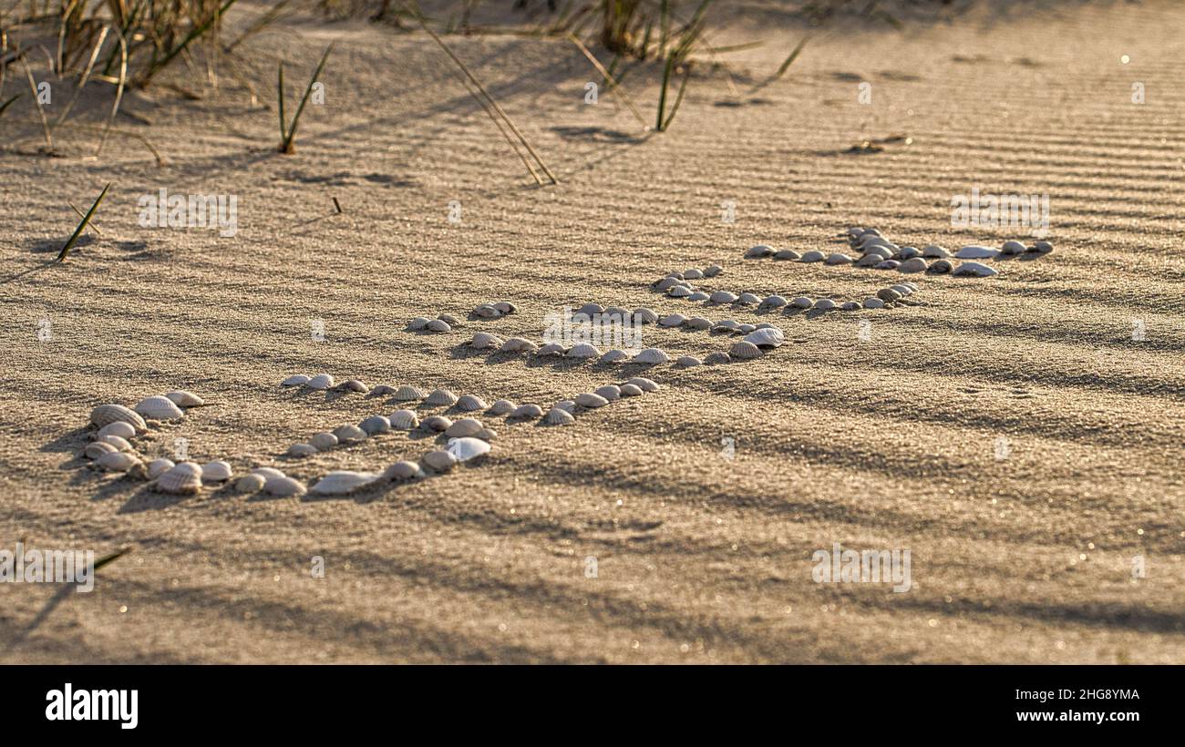 Avec des coquillages posés symbole bonheur sur la plage de la mer Baltique dans le sable.Souhaits pour les vacances et la vie. Banque D'Images
