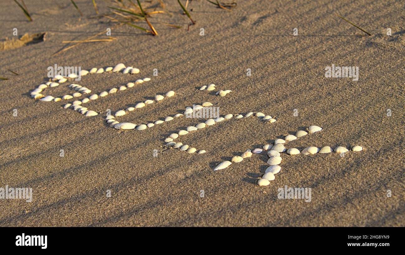 Avec des coquillages posés symbole bonheur sur la plage de la mer Baltique dans le sable.Souhaits pour les vacances et la vie. Banque D'Images