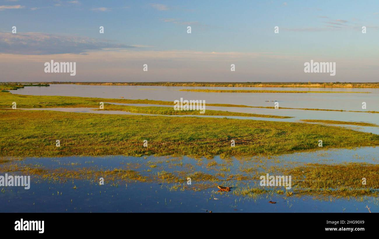 Magnifique arrière-plan de printemps.Plaine d'inondation de printemps de la rivière.Terres humides de la rivière SG.Kazakhstan. Banque D'Images