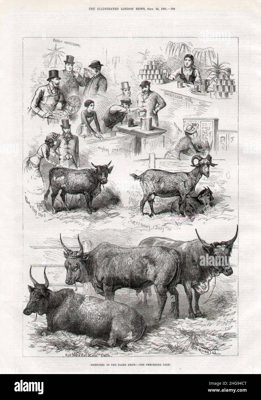 Croquis au Dairy Show, Londres; The Illustrated London News, 1881. Banque D'Images