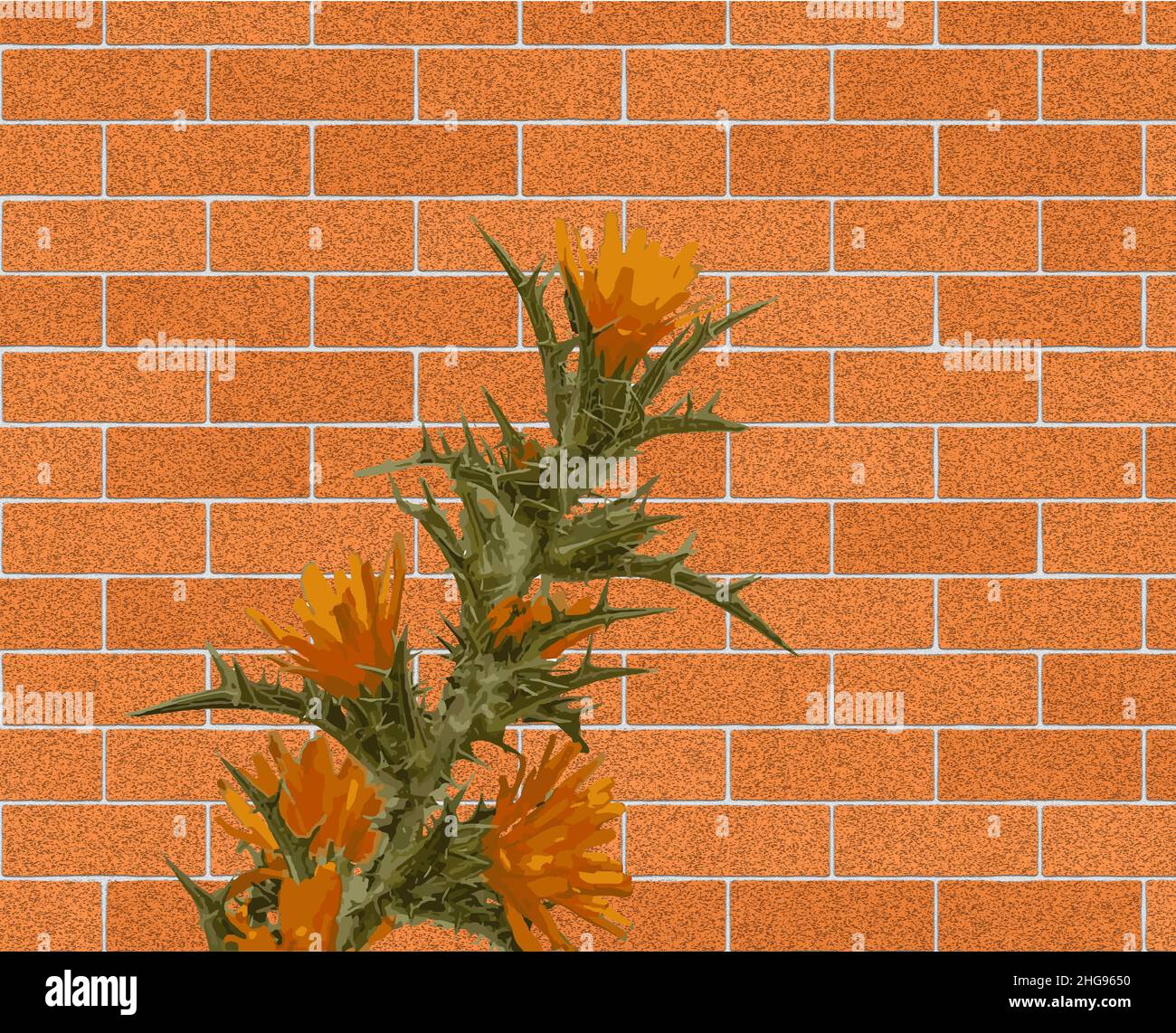 Usine Sonchus Asper .Illustration.Copier l'espace.Image de stock. Banque D'Images