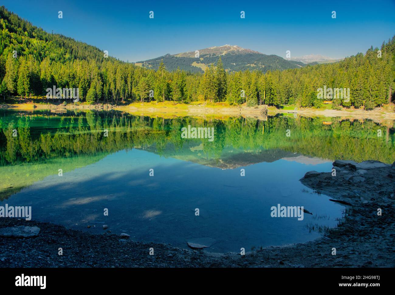 Réflexions forestières dans le lac Cresta, Grisons, Graubunden, Suisse Banque D'Images