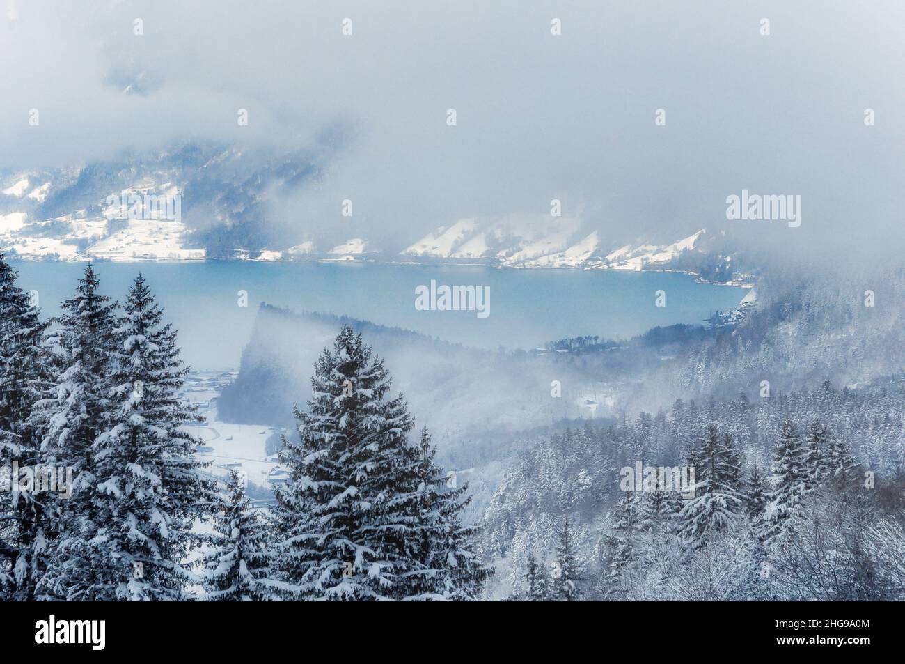 Brouillard hivernal sur la forêt de pins enneigée et le lac de Brienz, Suisse Banque D'Images