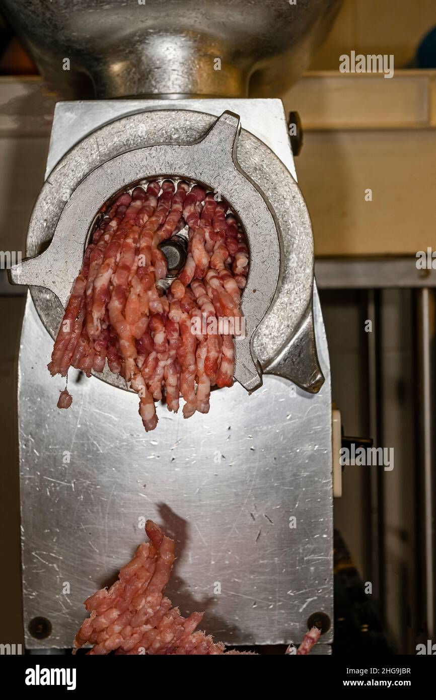 Différents types d'ingrédients et de saucisses faites à la main. Banque D'Images