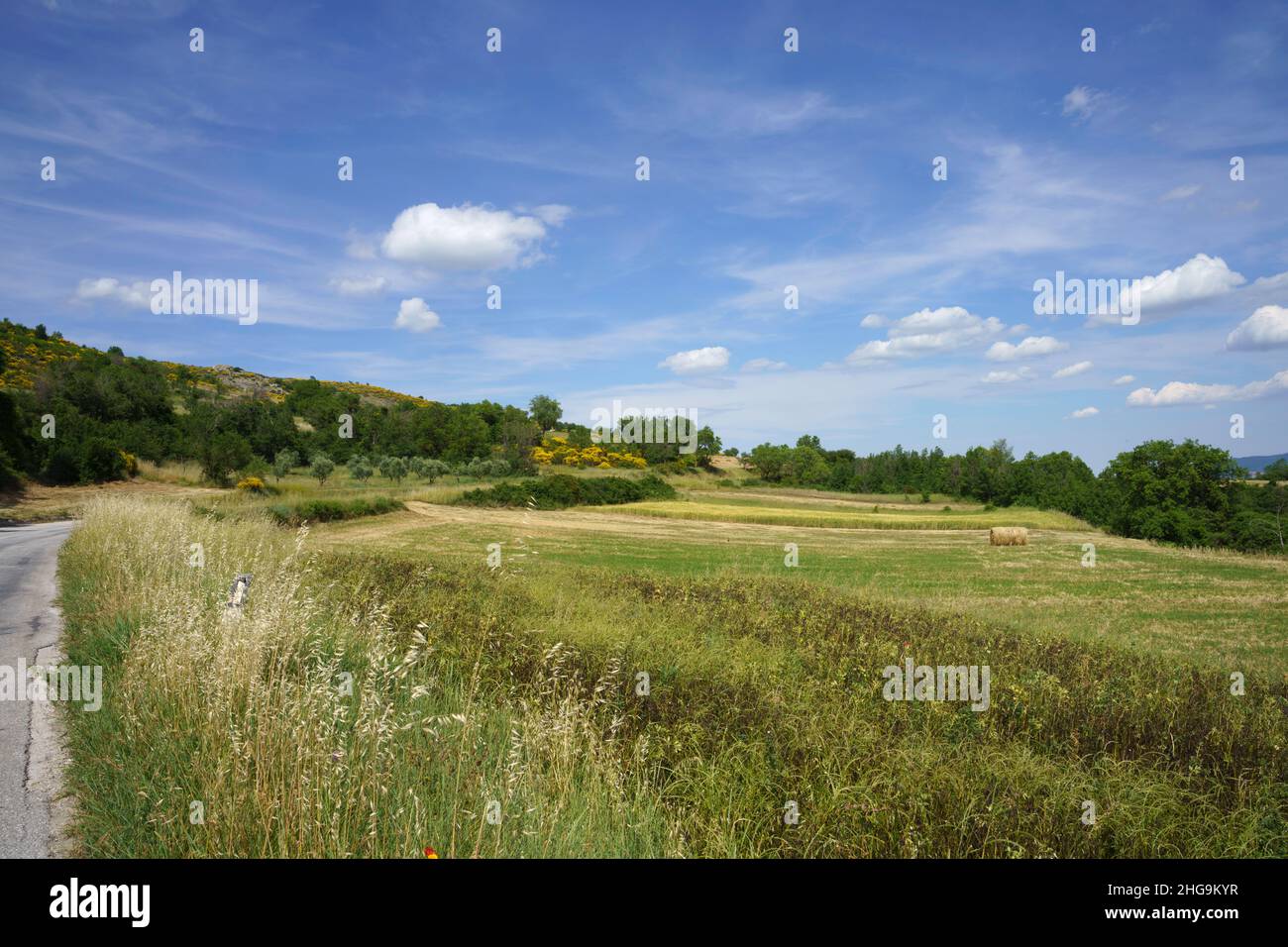 Paysage à Molise près de Macchiagodena et Frosolone, province d'Isernia, en juin Banque D'Images